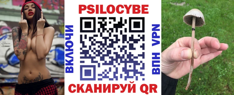Купить закладки  Белая Холуница  Галлюциногенные грибы прущие грибы 